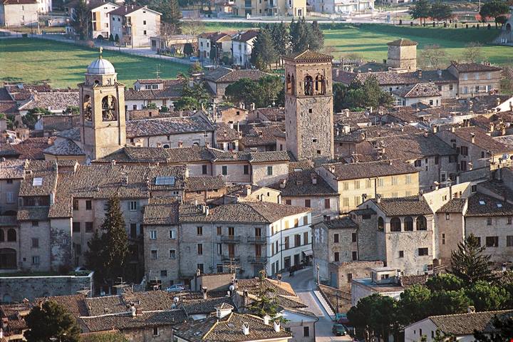 Tartufo delle Marche attraverso i suoi borghi | PaesiOnLine